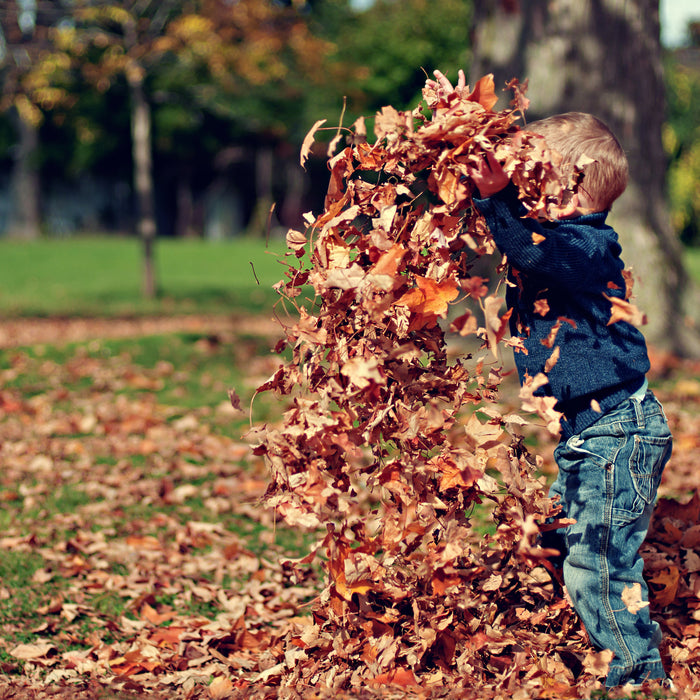 5 Fall Crafts Will Leaf You Smiling (for 3 reasons)